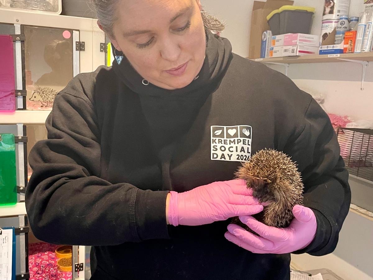 Krempel Social Day Bideford (UK)